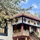 拉萨旅游 缩略图 6