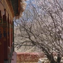 拉萨旅游 缩略图 2