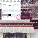拉萨旅游 缩略图 5