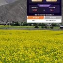 拉萨旅游 缩略图 11