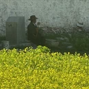 拉萨旅游 缩略图 13