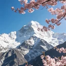 林芝旅游 缩略图 3