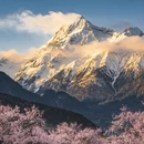 林芝旅游 缩略图 2
