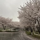 芜湖旅游 缩略图 1