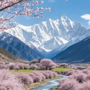 林芝旅游 缩略图 9