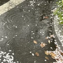 芜湖旅游 缩略图 7