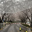 芜湖旅游 缩略图 6