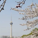 北京旅游 缩略图 1