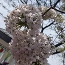 北京旅游 缩略图 8