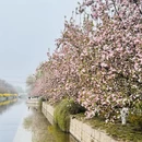 北京旅游 缩略图 1