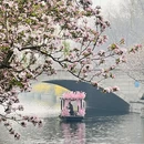 北京旅游 缩略图 3
