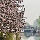 北京旅游 缩略图 2