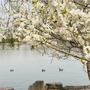 北京旅游 缩略图 4