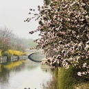 北京旅游 缩略图 4