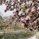 北京旅游 缩略图 7