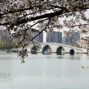 北京旅游 缩略图 3