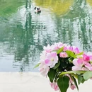 北京旅游 缩略图 9