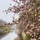 北京旅游 缩略图 6