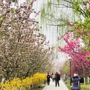 北京旅游 缩略图 5