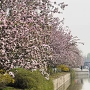 北京旅游 缩略图 13