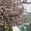 北京旅游 缩略图 8
