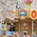 宁波旅游 缩略图 4