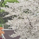 宁波旅游 缩略图 2