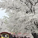 宁波旅游 缩略图 3