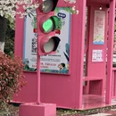 宁波旅游 缩略图 6