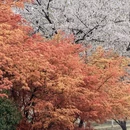 宁波旅游 缩略图 5