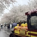 宁波旅游 缩略图 16