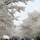 宁波旅游 缩略图 14