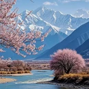 林芝旅游 缩略图 6