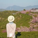 福州旅游 缩略图 1