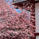 福州旅游 缩略图 10