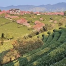 福州旅游 缩略图 13