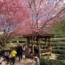 福州旅游 缩略图 1