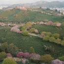 福州旅游 缩略图 14