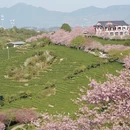福州旅游 缩略图 6