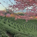 福州旅游 缩略图 12