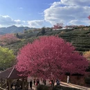 福州旅游 缩略图 4