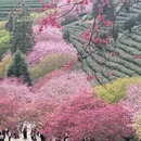 福州旅游 缩略图 9