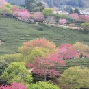 福州旅游 缩略图 8