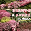 三明旅游 缩略图 1