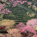 福州旅游 缩略图 5