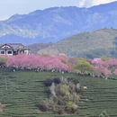 福州旅游 缩略图 7