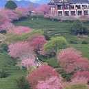 福州旅游 缩略图 2
