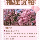 三明旅游 缩略图 4