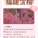 三明旅游 缩略图 2