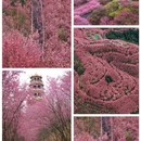 三明旅游 缩略图 10